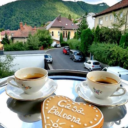 Ferienwohnung Casa Bologna Brașov Exterior foto
